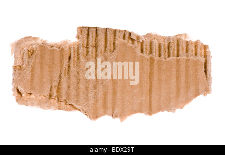 torn piece of corrugated cardboard isolated on a white background Stock Photo