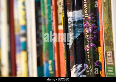 book shelf with collection of books Stock Photo