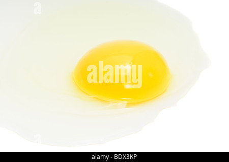 Cracked chicken egg, focus on yolk, isolated on white Stock Photo