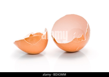macro of a cracked egg shell isolated on white Stock Photo