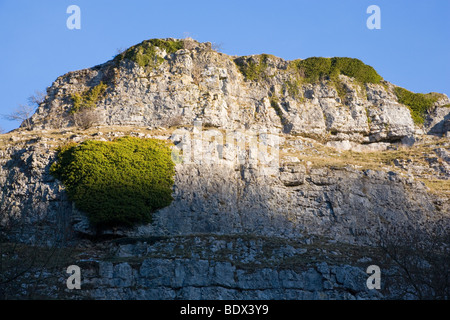 A Limestone Crag against a blue sky above Ricklow Dale at the head of Lathkill Dale in Derbyshire Stock Photo