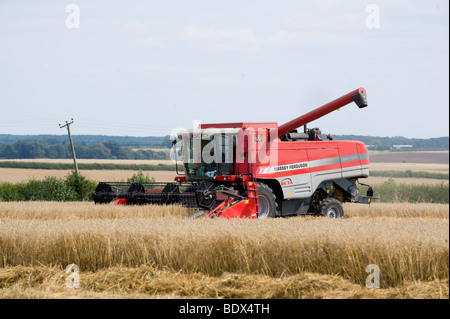 Massey Ferguson 7260AL-4 Combine harvester at harvesting time, England. Stock Photo