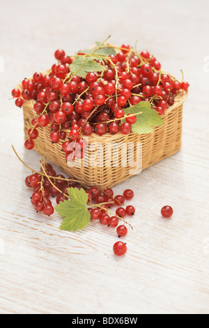 Red currants in a small basket Stock Photo