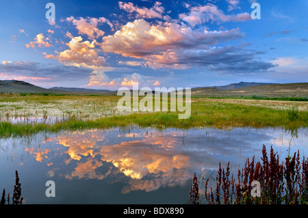 Sunset clouds over pond. Black Rock Desert National Conservation Area. Nevada Stock Photo