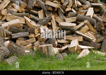 Chopped firewood, piled up logs on a lawn