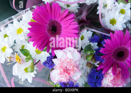 Flowers in florists shop , Canterbury , England Stock Photo