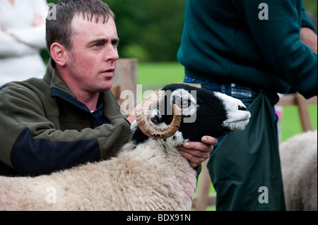 Swaledale ewes being showed at Muker Show. North Yorkshire Stock Photo