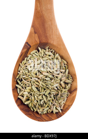 Fennel seeds (Foeniculum vulgare) on an olive wood spoon Stock Photo