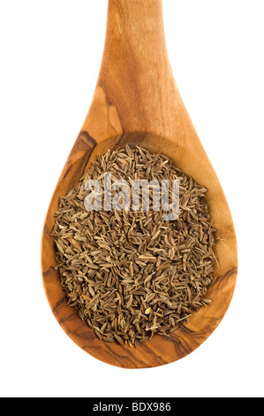 Caraway or Persian cumin (Carum carvi) on an olive wood spoon Stock Photo