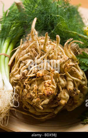 Root celery, leek or spring onions and dill Stock Photo