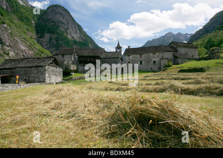 Mown grass in front of a Rustici made of stone in Sonlèrt, hamlet in the Val Bavona, a side valley of the Valle Maggia, Ticino, Stock Photo