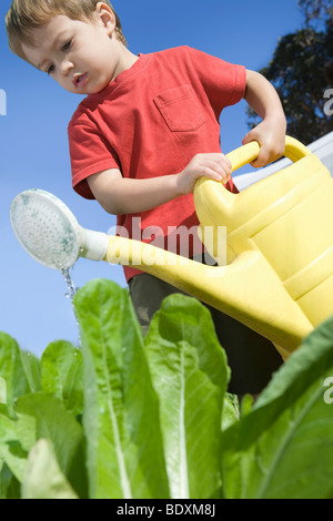 2 Year Old in vegetable garden with watering can Stock Photo