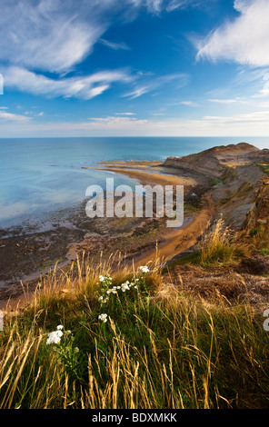 Kettleness near Whitby, North York Moors National Park Stock Photo