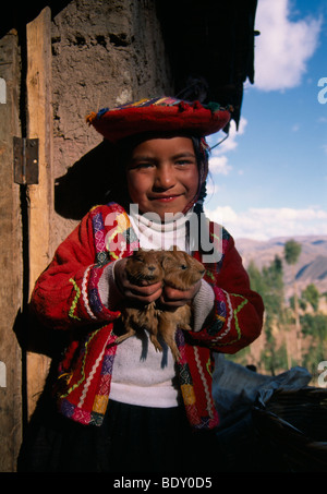 Indigenous girl holding Cuy, Guinea Pig (Cavia porcellus), Cusco, Peru, South America Stock Photo