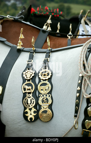 A photograph of horse brasses on the back of a grey shire horse, Shoreham, Kent, UK. Stock Photo