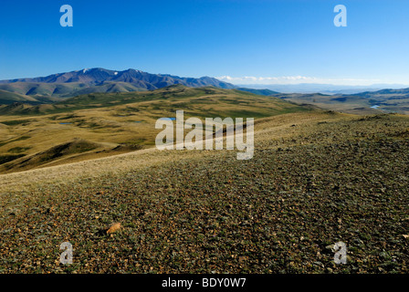 Chuja Steppe and Saljugem, Sailughem or Saylyugem Mountains, Altai Republic, Siberia, Russia, Asia Stock Photo