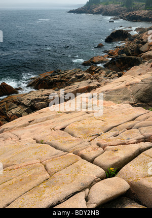 Smooth rock at Lakies Head and Broad Cove on Atlantic Ocean coast in Cape Breton Highlands National Park Nova Scotia Stock Photo