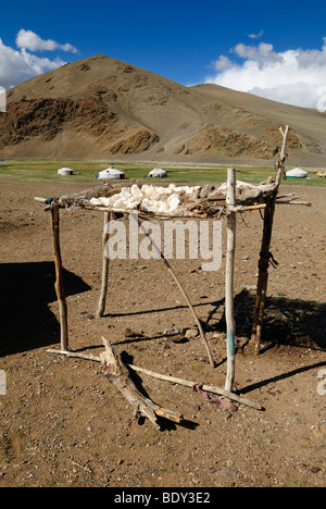 Yak cheese drying in the sun and nomad yurts in the Mongolian steppe, Aimak Bayan Ulgi, Altai Mountains, Mongolia, Asia Stock Photo