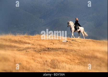 Woman Riding Andalusian Horse Stock Photo