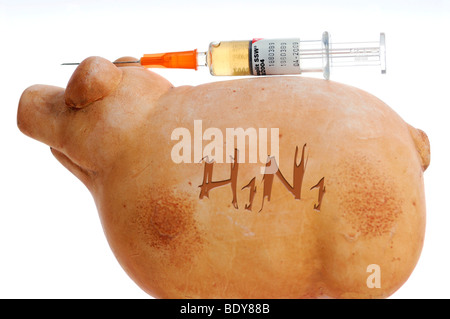 Miniature swine and syringe, vaccination against swine flu Stock Photo