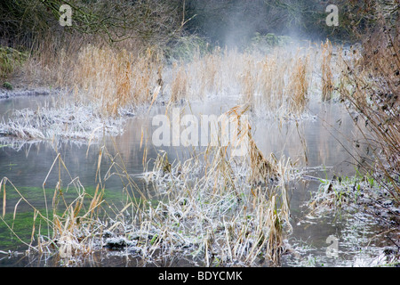 Mist rising from the River Lathkill on a cold winters morning at Lathkill Dale in Derbyshire Stock Photo