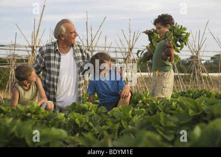Grandfather and grandsons in garden Stock Photo