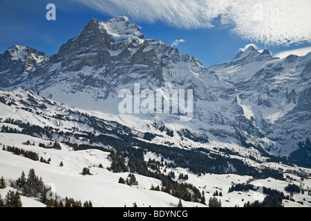 Wetterhorn mountain (3692m), Grindelwald, Jungfrau region, Bernese Oberland, Swiss Alps, Switzerland Stock Photo