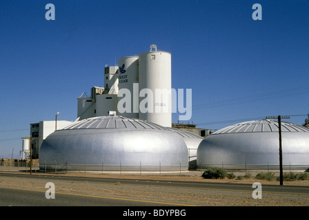 Imperial Valley, California sugar beets harvest store storage market Stock Photo