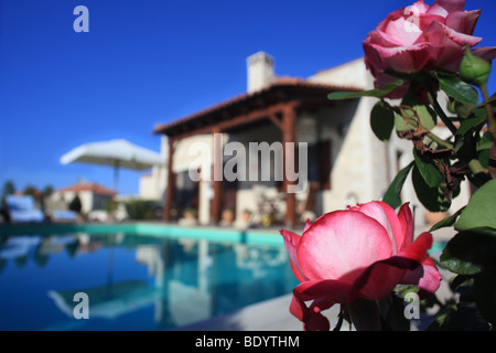 Roses blooming in the garden of a luxury villa in Prines, Crete, Greece, which is used for summer holiday lets. Stock Photo