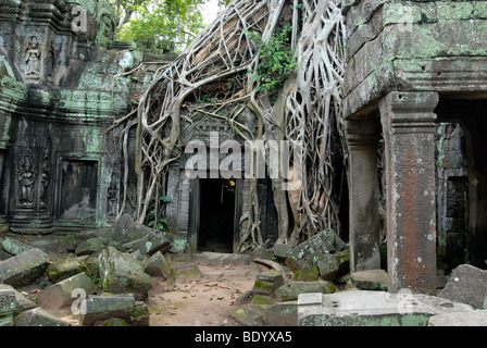 Old temple entrance in the overgrown Ta Phrom Temple, Angkor, Seam Reap, Cambodia, Asia Stock Photo