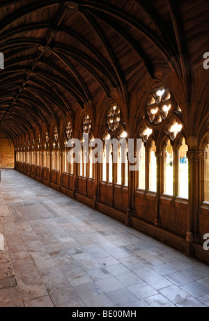 Cloister with vaulted wooden ceiling of the Lincoln Cathedral or St. Mary's Cathedral, 12th and 13th Century, Gothic-Romanesque Stock Photo