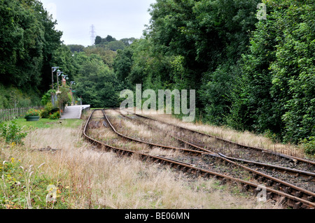 Bodmin and Wenford Railway, Boscarne junction on the Camel Trail, Cornwall, England. Stock Photo