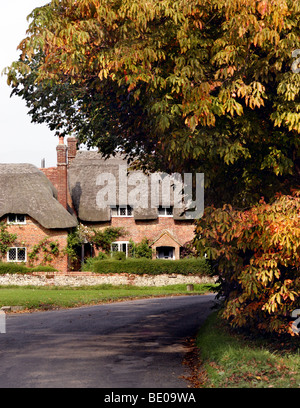 Thatched Cottages at Beauworth, Hampshire, England Stock Photo