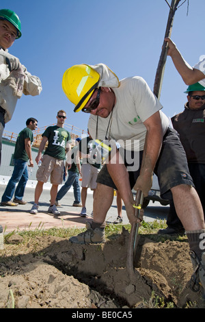 Tree Planting in South Central Los Angeles, California, USA Stock Photo