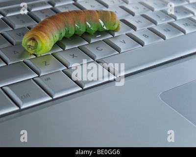 Macro shot of a caterpillar over a computer keyboard. Stock Photo