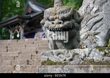 Koma Inu (lion guard dog) at Okusha shrine in Togakushi, japan Stock Photo