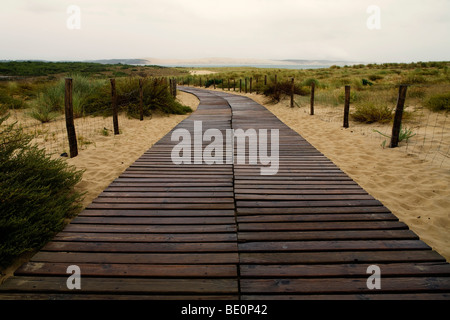 Boardwalk across the sand dunes to the beach at Cap Ferret on the Atlantic south west coast of France out of season Stock Photo