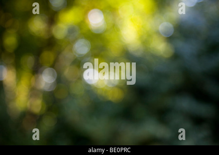 nice abstract background of green and yellow bokeh Stock Photo