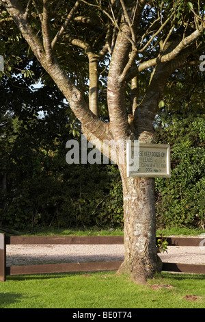 please keep dogs on lead, please clean up after your dog - sign on tree at Dorset in summer Stock Photo
