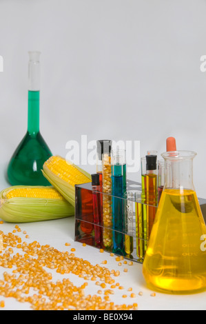 Bio fuel concept with corn and chemicals Stock Photo