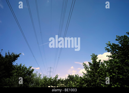 metal pylon carrying electricity supply power lines Stock Photo