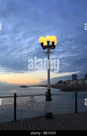 Starlings at dusk preparing to roost on Brighton Pier, Sussex, England, UK Stock Photo
