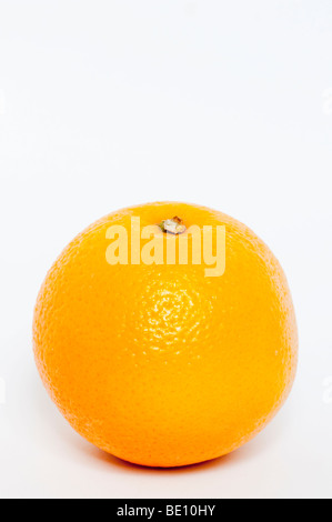 A close up of a fresh orange on a white background Stock Photo