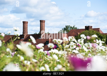 The Manor House building at Wisley RHS garden viewed through a haze of cosmos flowers in summer Stock Photo