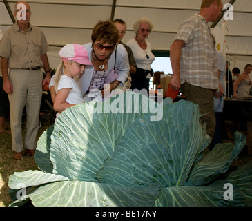 Family with child amazed by size of the winning cabbage at The Henley Show, Hambledon, Oxfordshire, England, UK Stock Photo