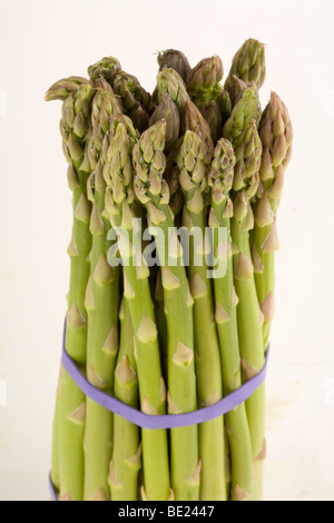 Asparagus is a great source of fibre, folate, potassium, vitamin C and is high in antioxidants Stock Photo