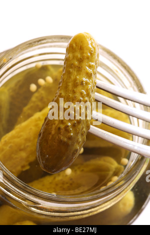 Jar of pickled cornichon gherkins in vinegar with mustard seed produce of India Stock Photo