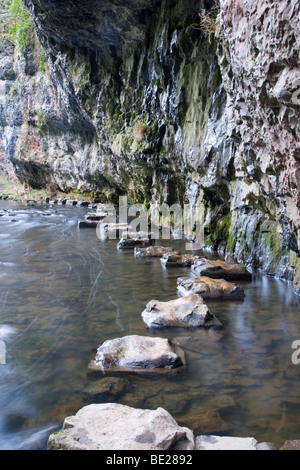 Stepping Stones across the River Wye under a Limestone Cliff at Chee Dale in the Wye Valley near Buxton in Derbyshire Stock Photo