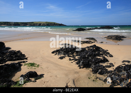 Harlyn Bay - surfing beach - late summer, North Cornwall, England, UK Stock Photo