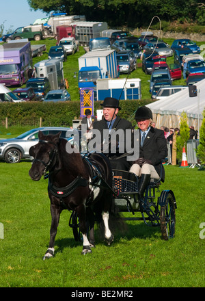 Horse and carriage driving at Westmorland County Agricultural show Stock Photo